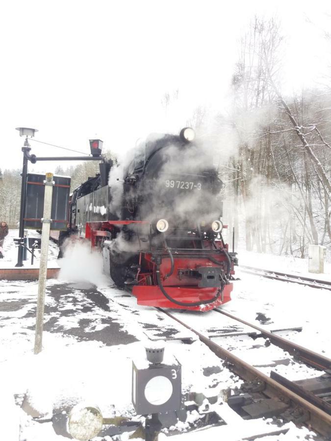 "Ferienhaeuser" Am Waldesrand Mit Und Ohne Garten Knusperhaeuschen, Teufelsloch, Walpurgishuette, Brockenhuette Wernigerode Dış mekan fotoğraf